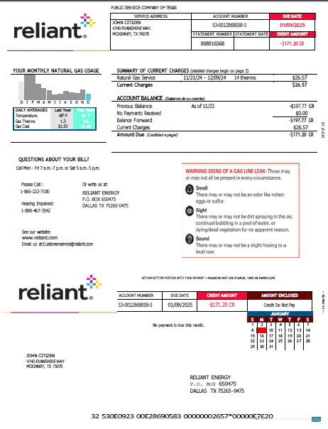 download download USA Reliant Energy utility bill template in Word and PDF formats PDF template PDF template